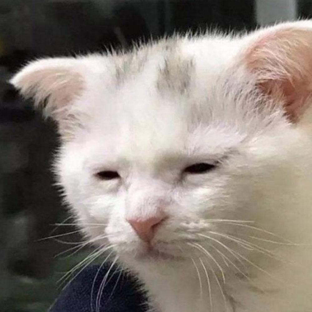 Meet your Posher, Gauri